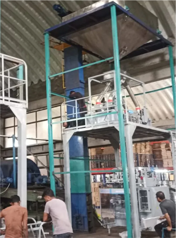 Automated packing line in operation